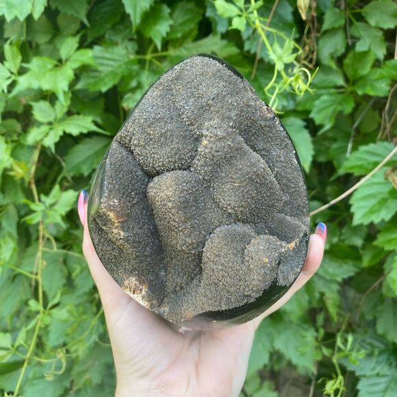 RAW Septarian Egg (large) - Picture 1 of 7